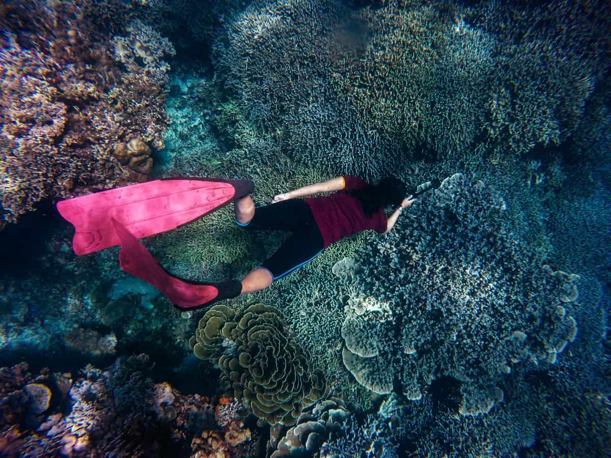Tropical shoreline with clear shallow water and a reef visible below